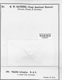 Image Associated With the Occurence